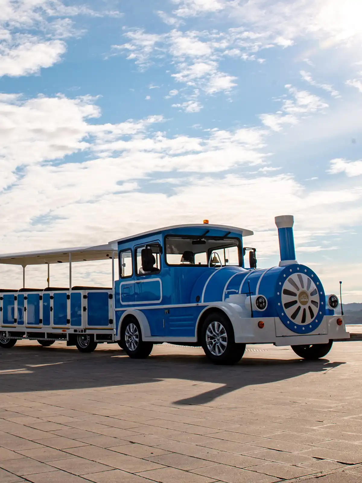 Front view Deltrain Tagus ICE locomotive