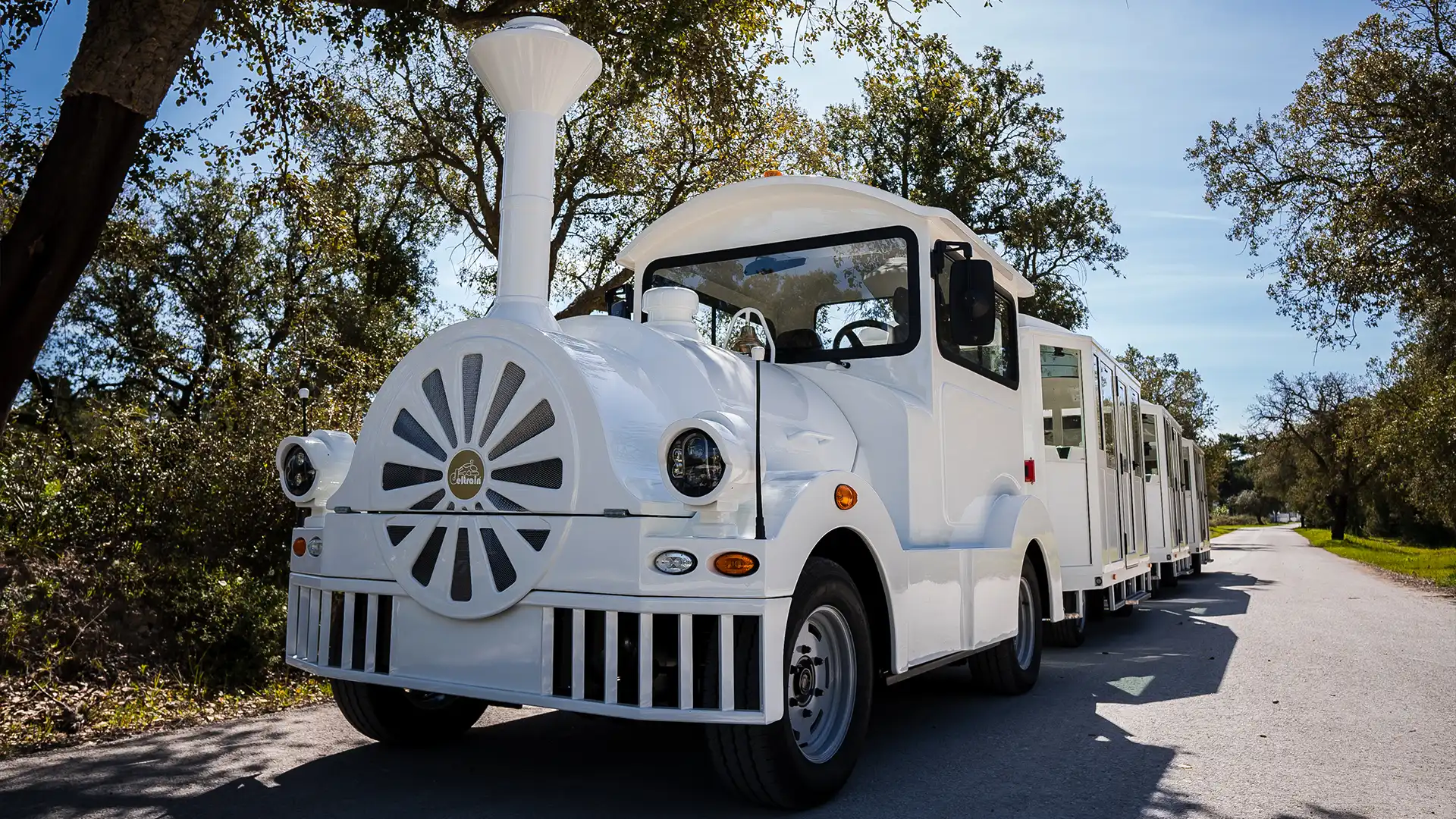 Deltrain Delga EV tourist train locomotive pulling Diamond passenger wagons