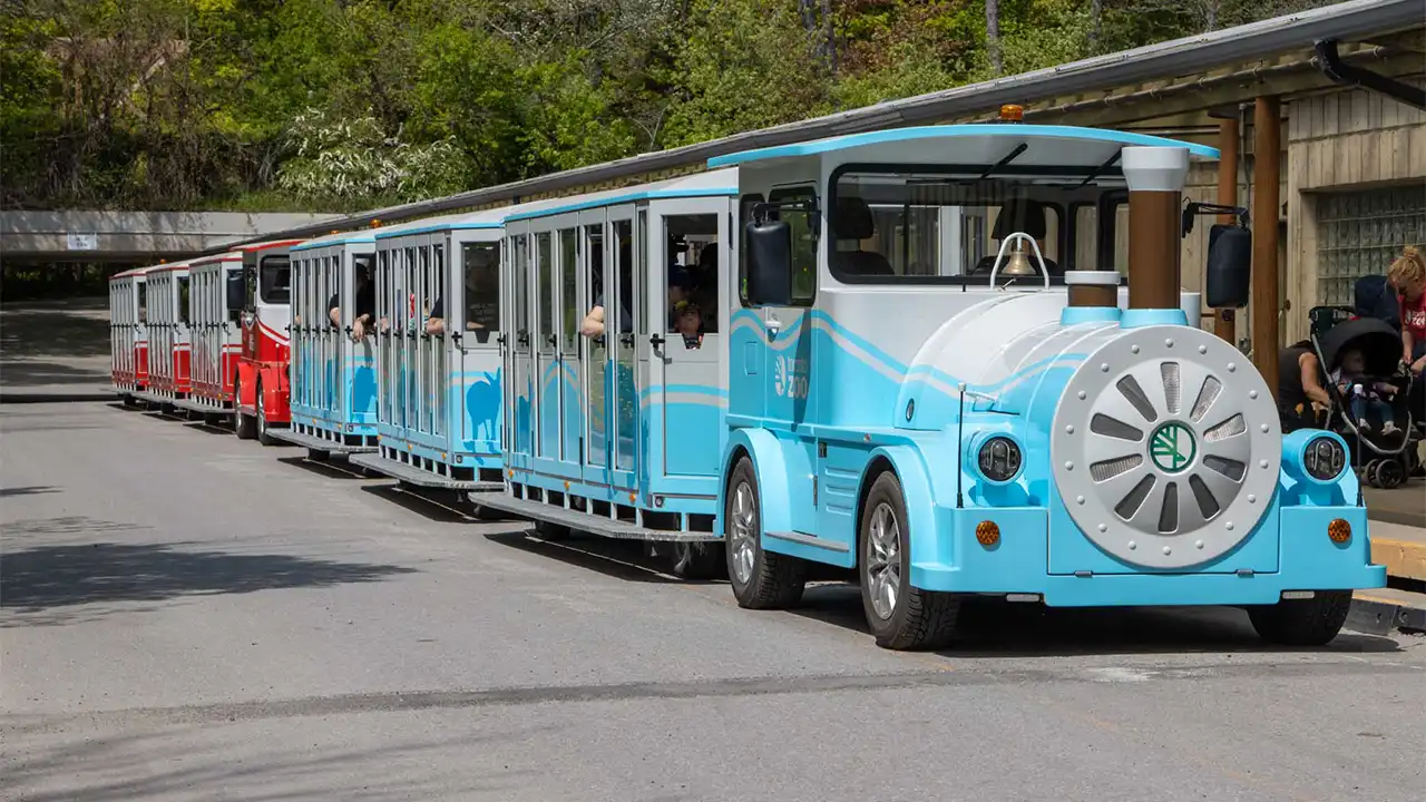 Deltrain tourist train operating in Toronto city sightseeing route