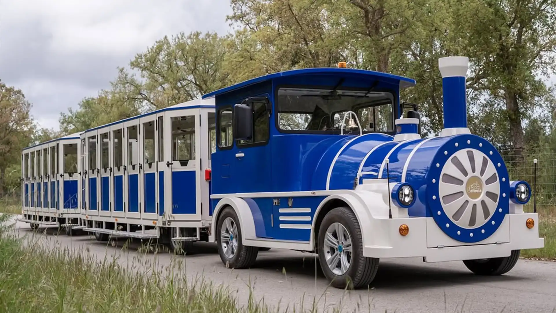 Deltrain Tagus EV tourist train locomotive pulling Diamond passenger wagons