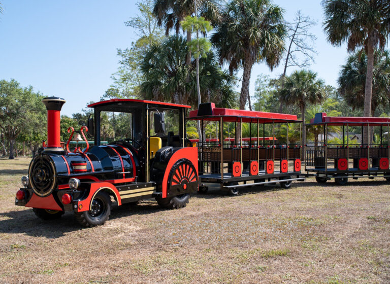Shuttle train platform with locomotive and passenger coaches for parks and resorts